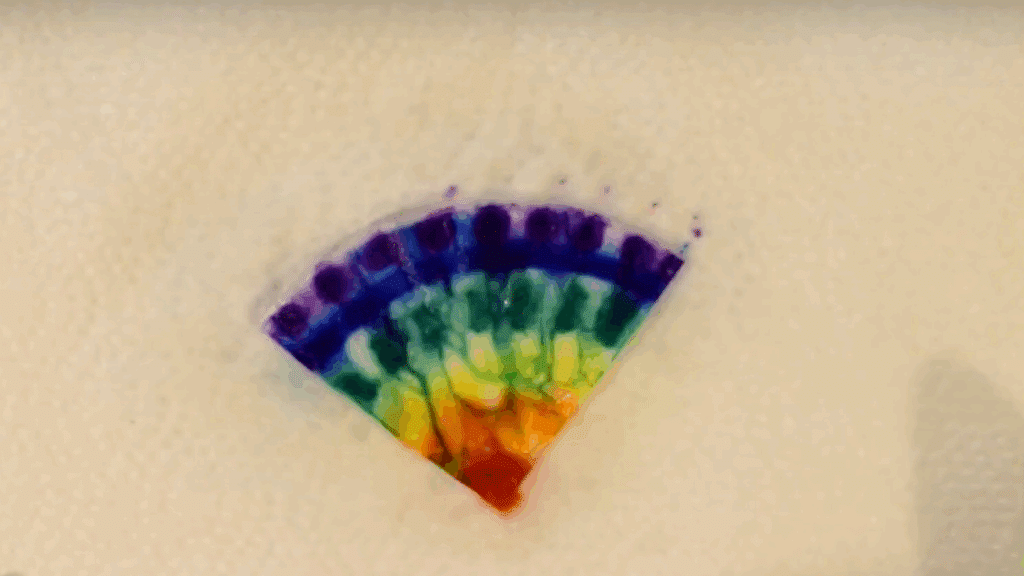 Apply Water to Blend the Colors