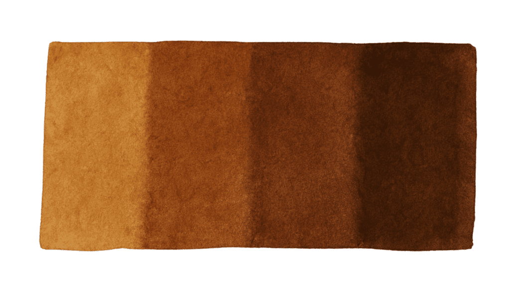 Create an Earth Palette