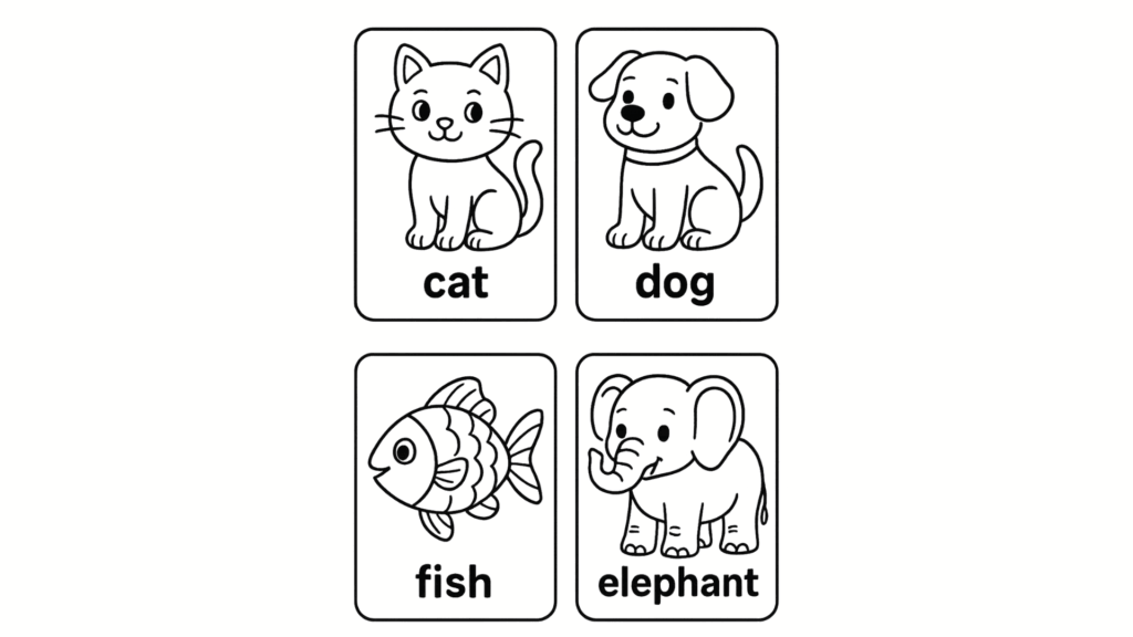 Animal Flashcards