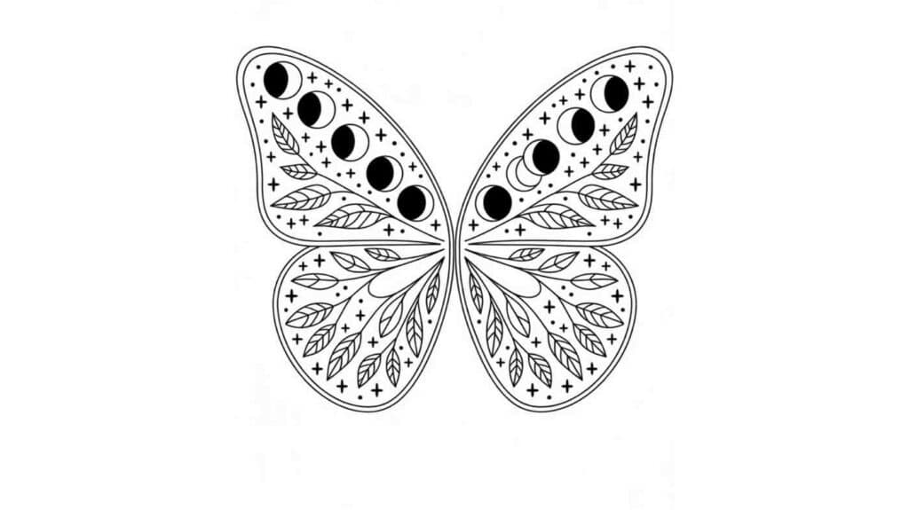 Butterfly Wings With Moon Phases