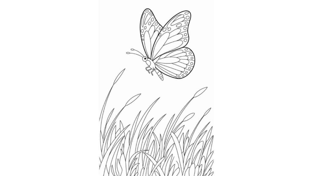 Butterfly Flying Over Grass