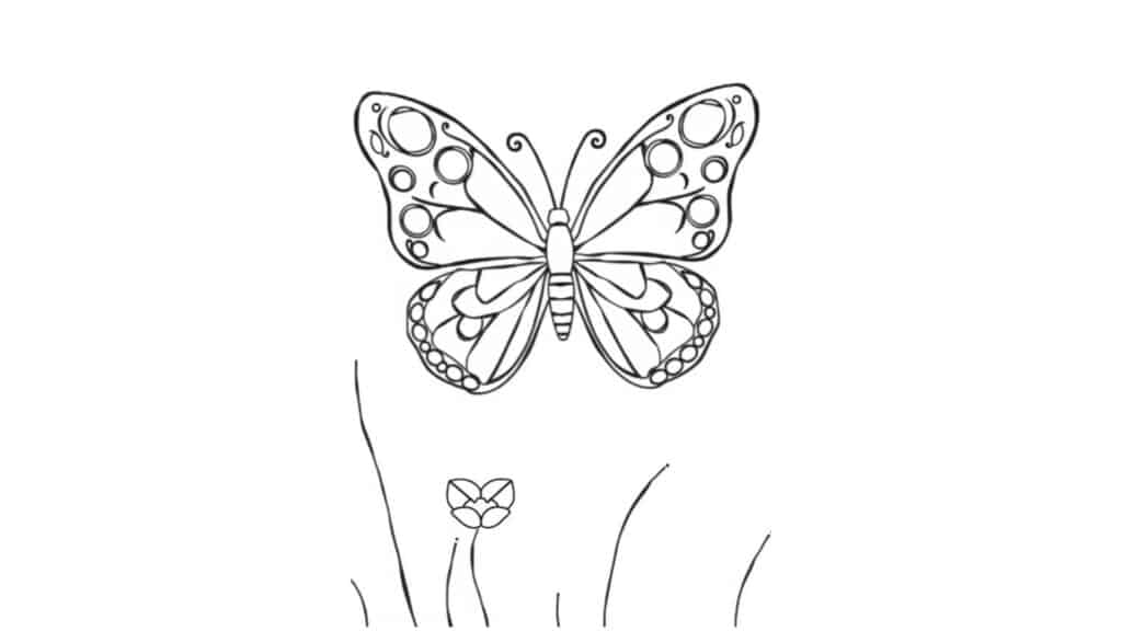 Butterfly with Circles