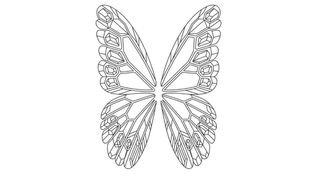 Butterfly Wings with Crystal Patterns