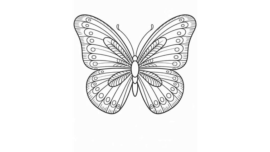 Butterfly with Aesthetic Feathers