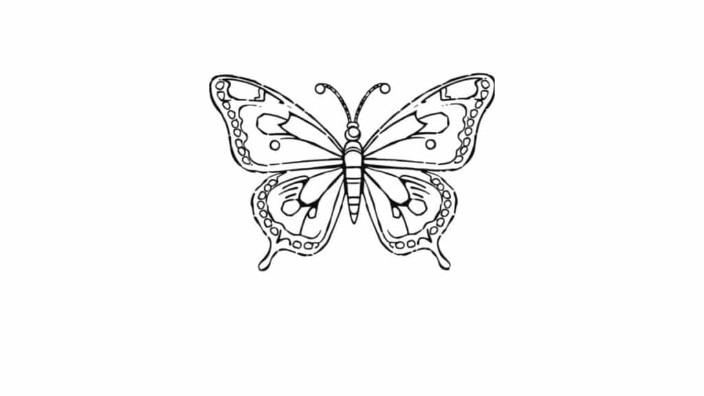 Butterfly with Simple Dots Pattern