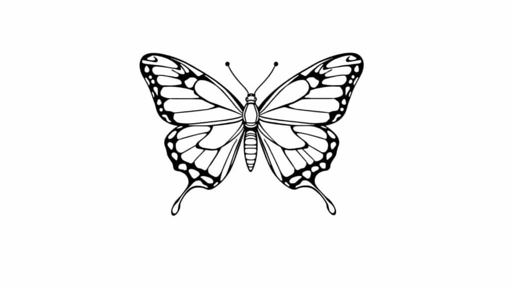 Swallowtail Butterfly Page